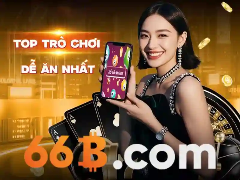 66b: Khái niệm và ứng dụng trong máy tính