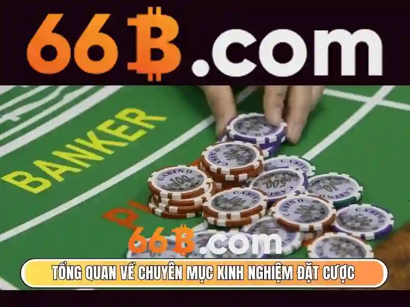 66b trong công nghệ và dữ liệu