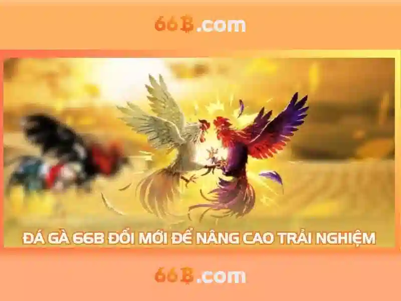 Giới thiệu về 66B