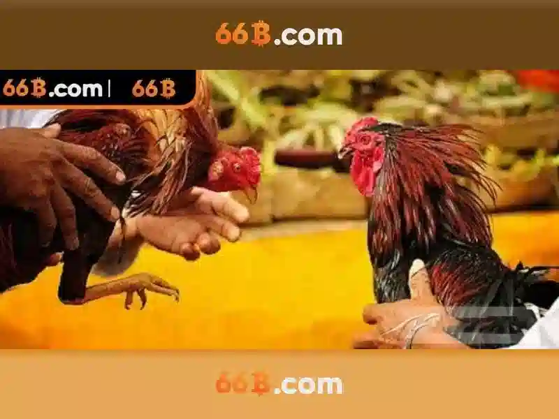 66b phan đăng lưu phú nhuận tp hcm – Tổng quan, ứng dụng và trải nghiệm