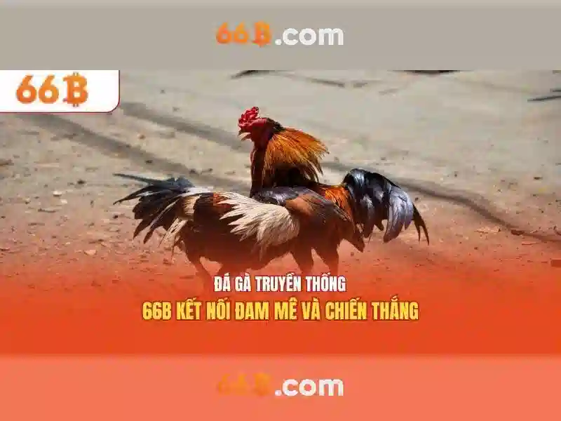Giới thiệu về 66b