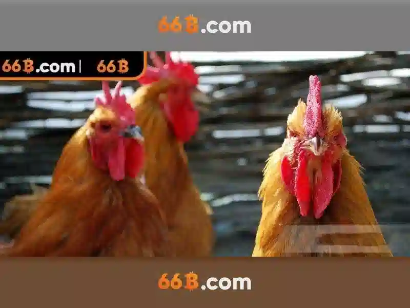 66B: Mô hình ngôn ngữ với 66 tỷ tham số