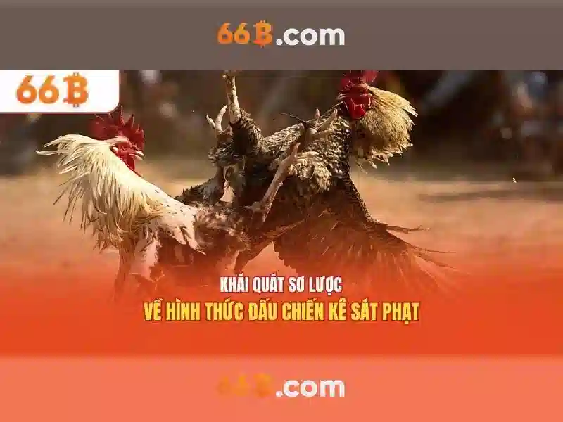 Ví dụ thực tế