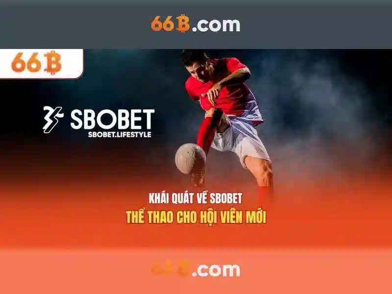66b là gì