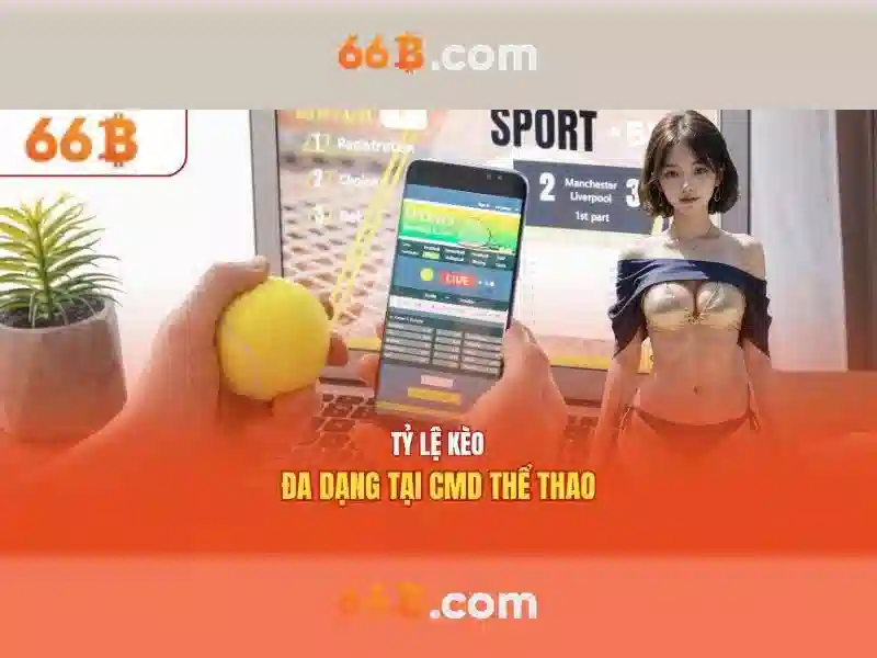 66b và cộng đồng người dùng