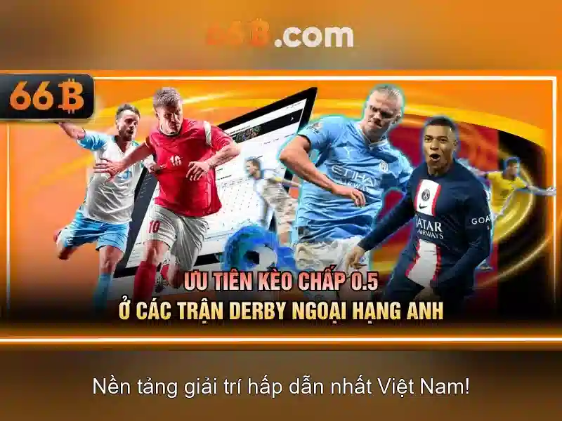 66B: Định nghĩa và ý nghĩa