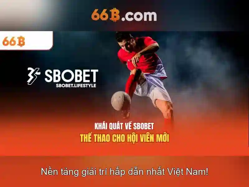 66b và những khía cạnh trong nhiều lĩnh vực