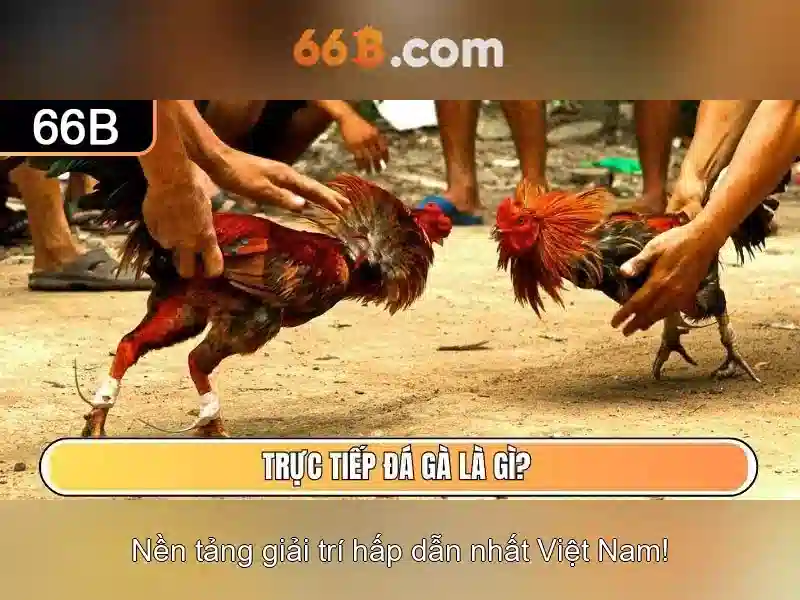 66B: Giới thiệu một mô hình ngôn ngữ tham số lớn 66 tỷ