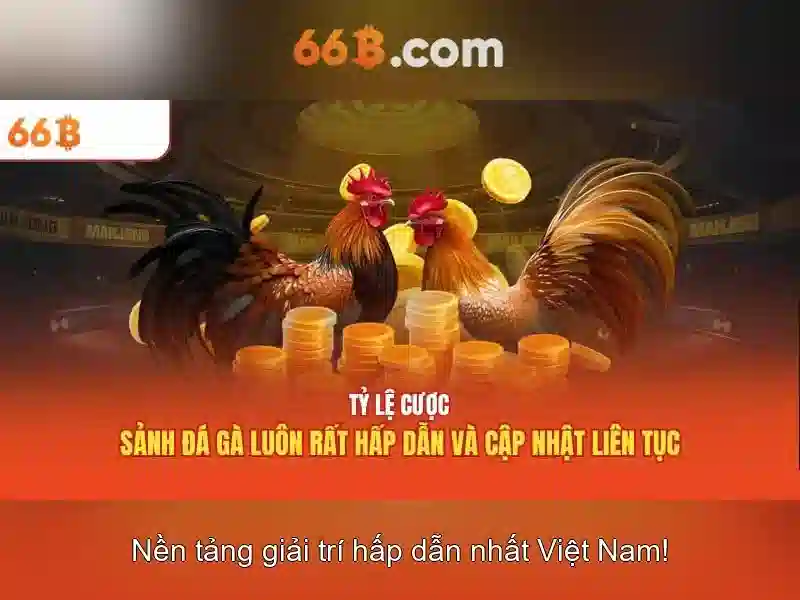 Cấu trúc và tham số