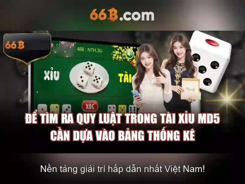 66B là gì?