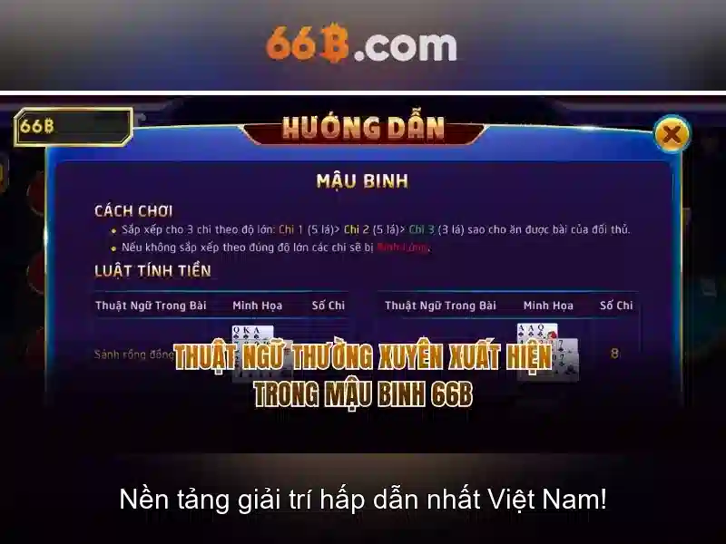 Các khả năng và giới hạn