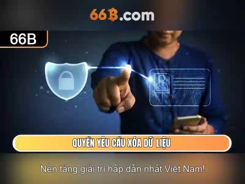 Hiệu suất và giới hạn