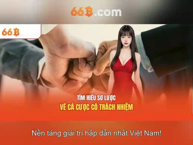 66B: Kích thước, khả năng và ứng dụng