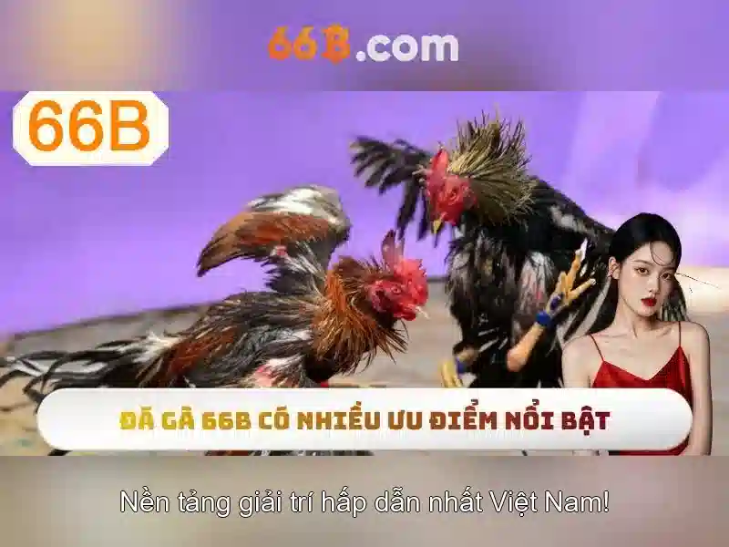 66b: Tổng quan về mô hình ngôn ngữ có tham số 66 tỷ