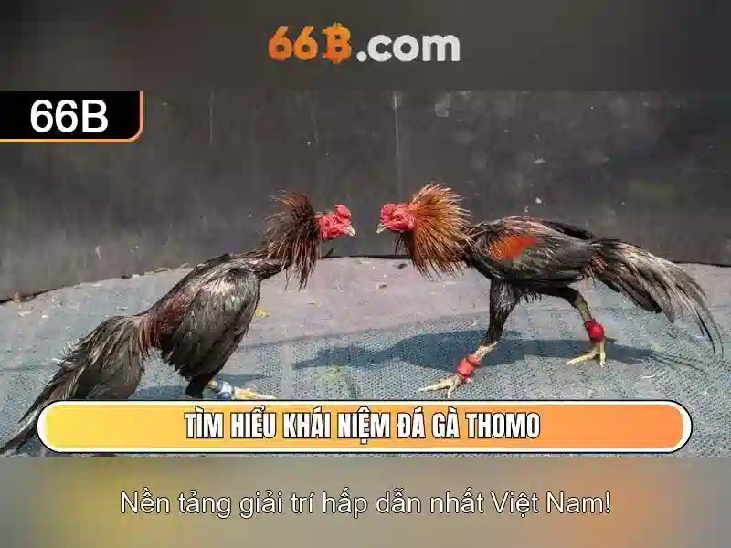 66B: Khai phóng sức mạnh của mô hình ngôn ngữ quy mô 66 tỷ tham số