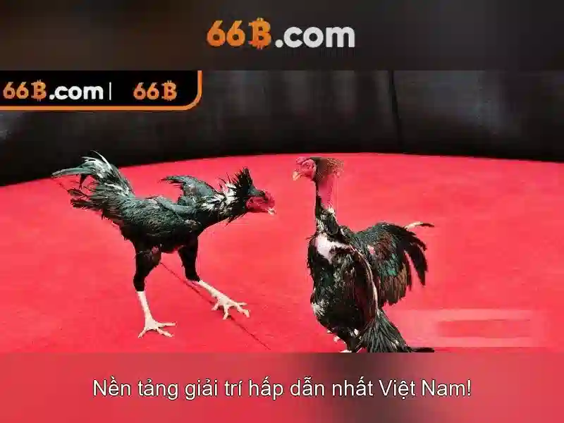 Ứng dụng và diễn giải văn hóa