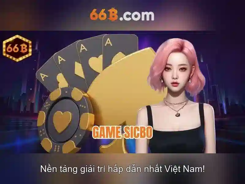 66B là gì