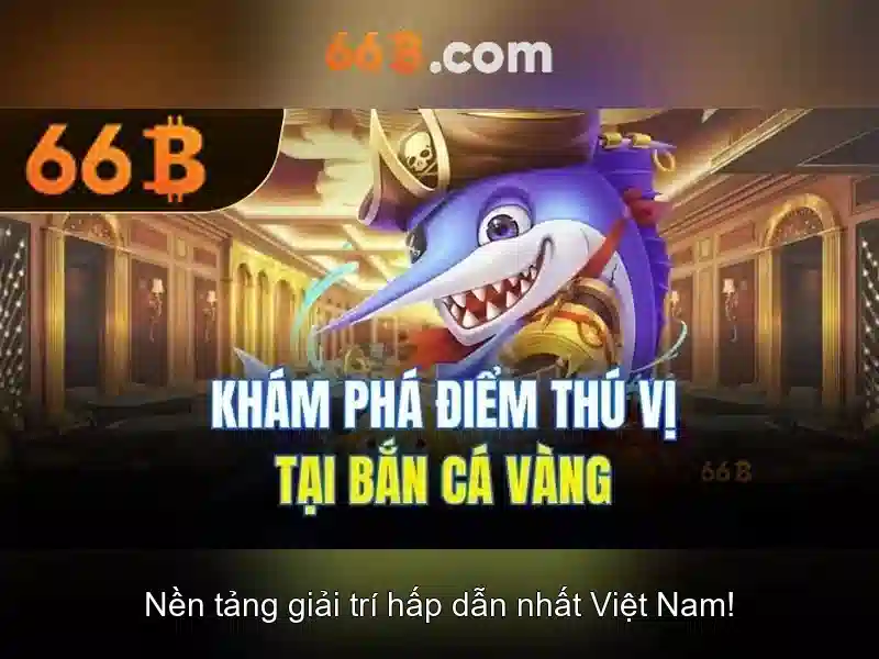 Khái niệm cơ bản về 66B