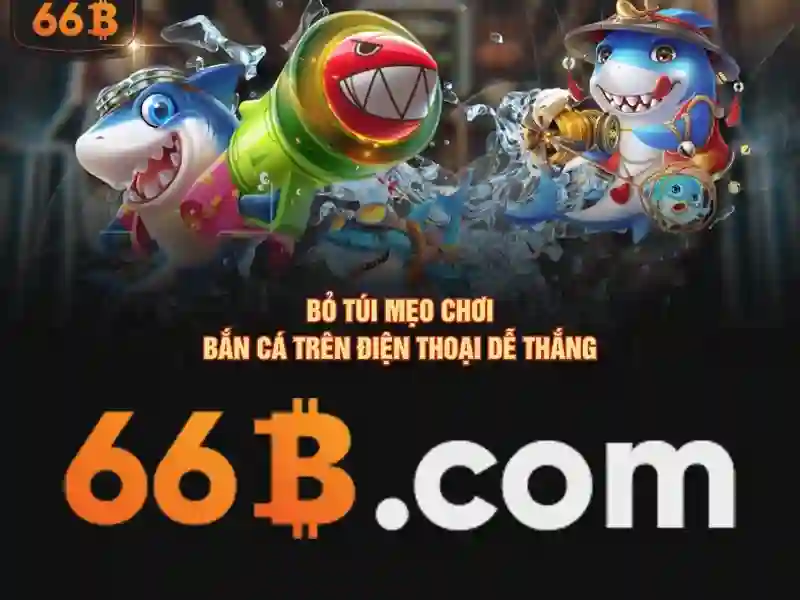 66b là gì và những điều bạn cần biết