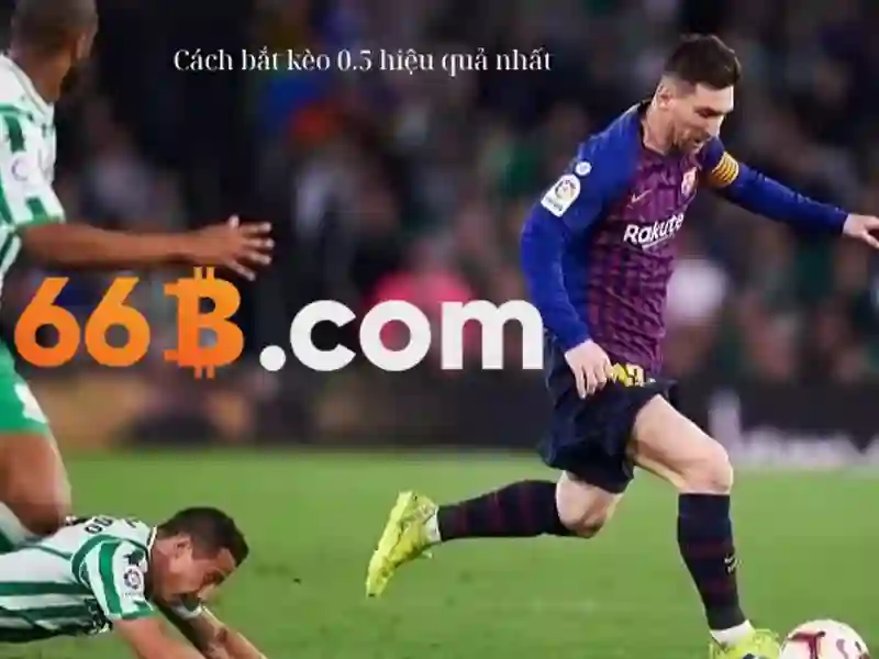 66b là gì