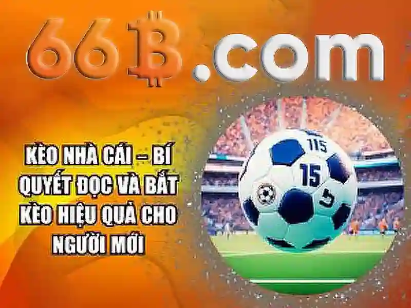 Cấu trúc và cách hoạt động của 66B