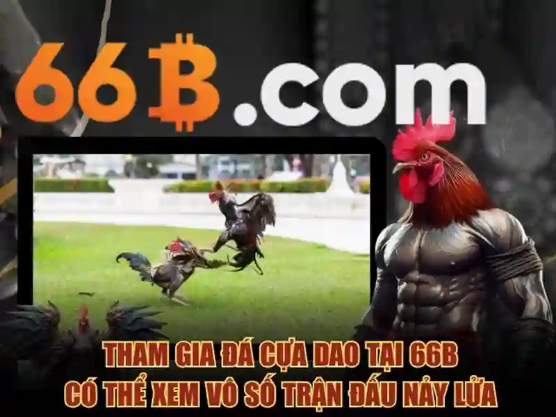 66b: một khái niệm công nghệ và tiềm năng