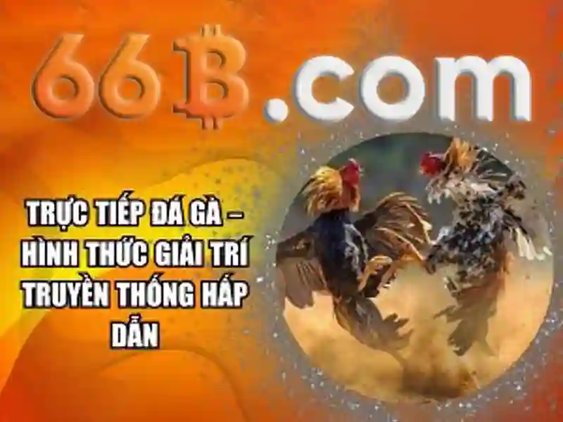 66b: Khái niệm và ứng dụng