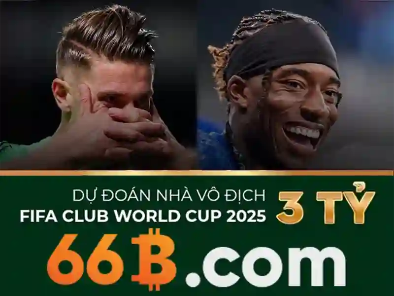 66b là gì và những ứng dụng của nó
